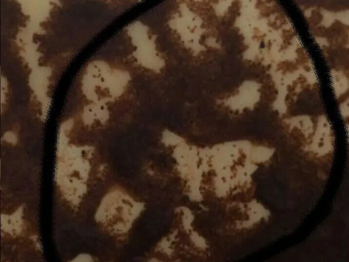 Запись на прием к гадалке в Верхней Пышме